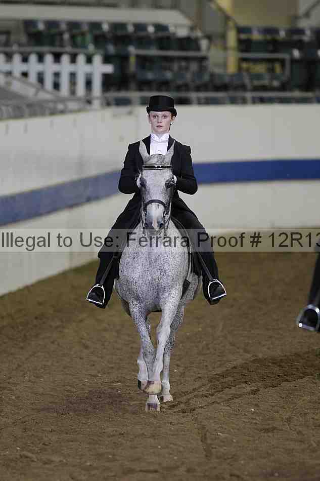 Proof Number 12r13_2496