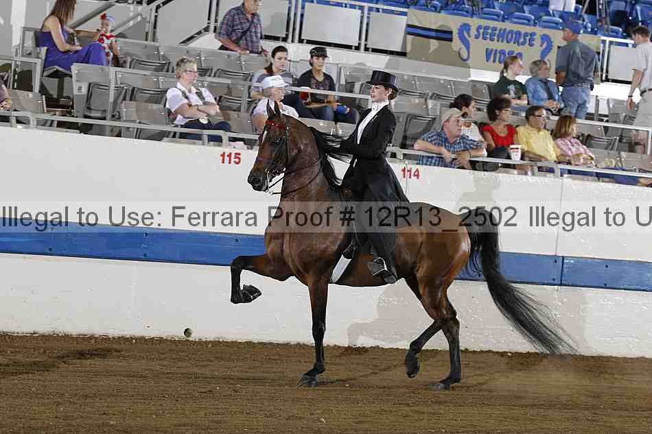 Proof Number 12r13_2502