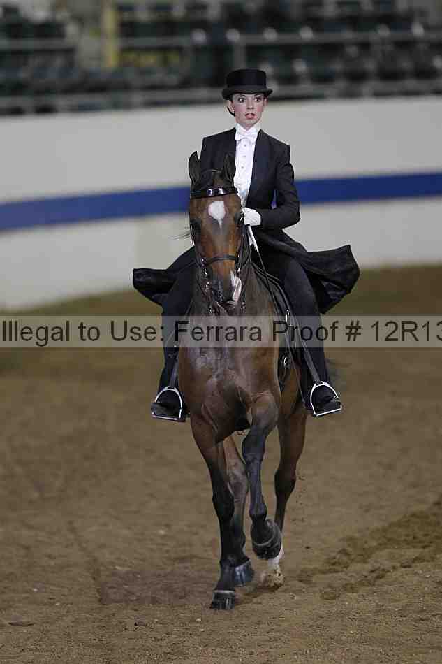 Proof Number 12r13_2504