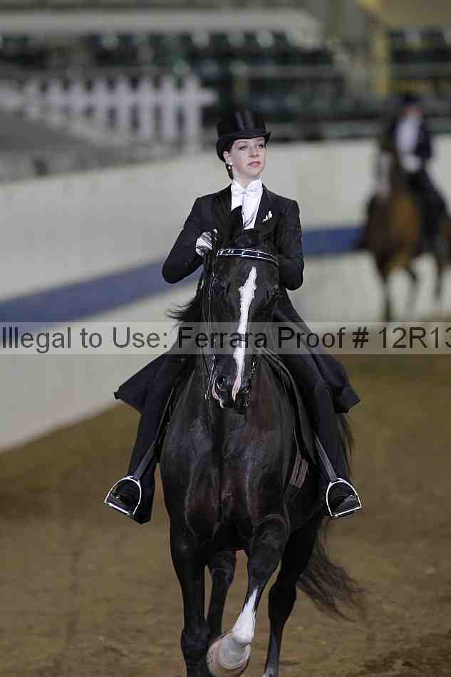 Proof Number 12r13_2507