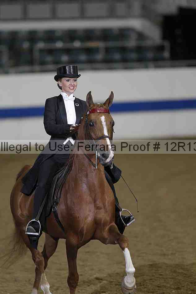 Proof Number 12r13_2509
