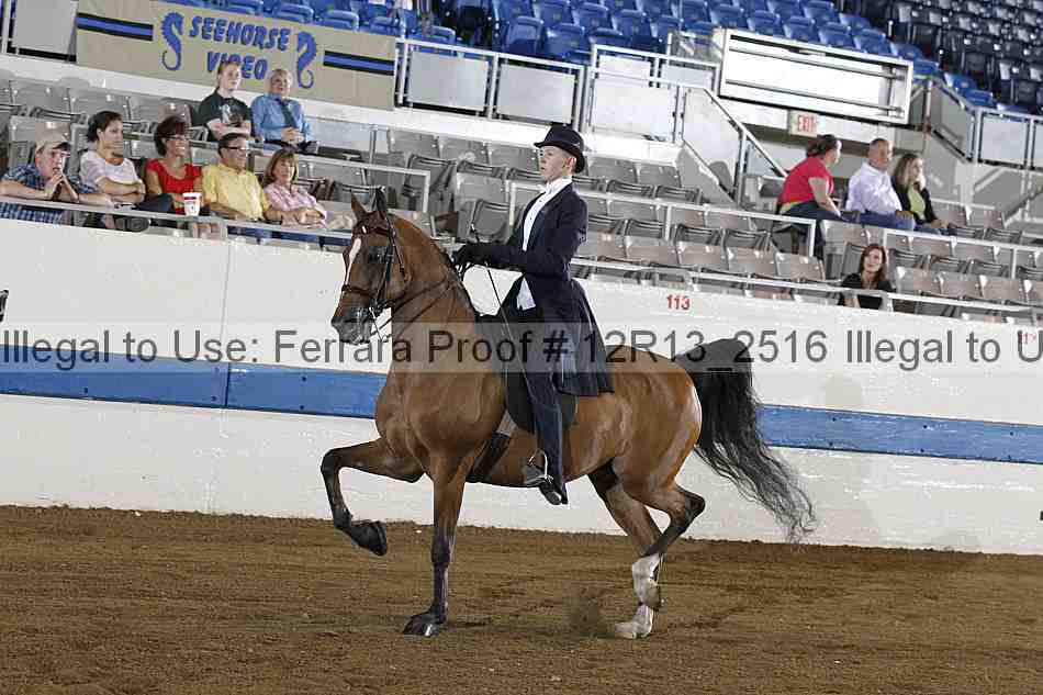 Proof Number 12r13_2516