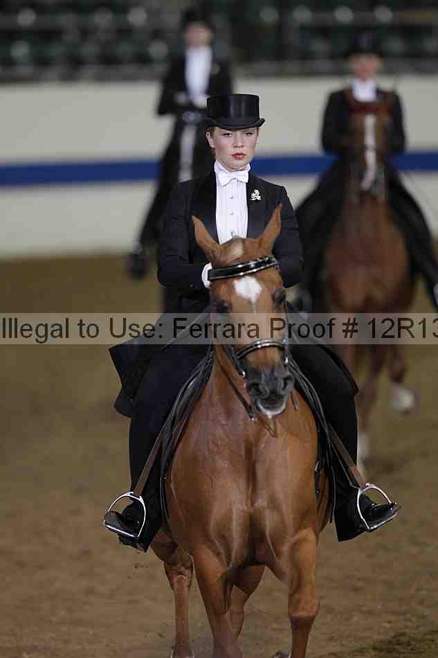 Proof Number 12r13_2520