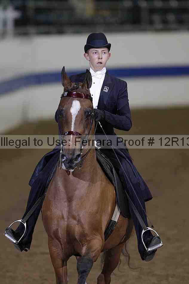 Proof Number 12r13_2522