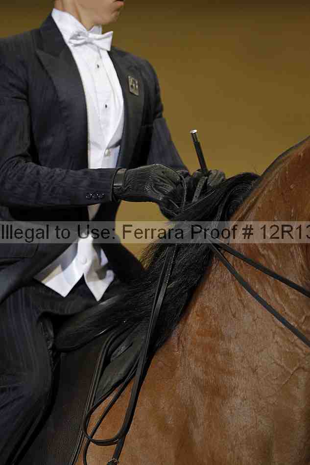 Proof Number 12r13_2523