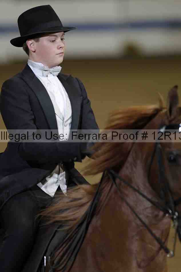 Proof Number 12r13_2525