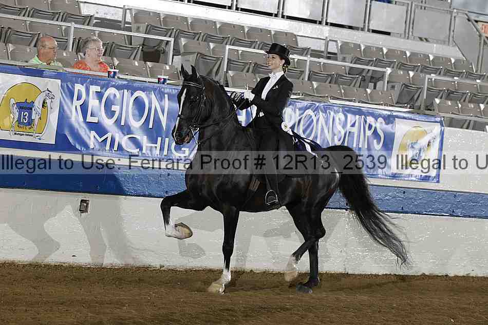 Proof Number 12r13_2539