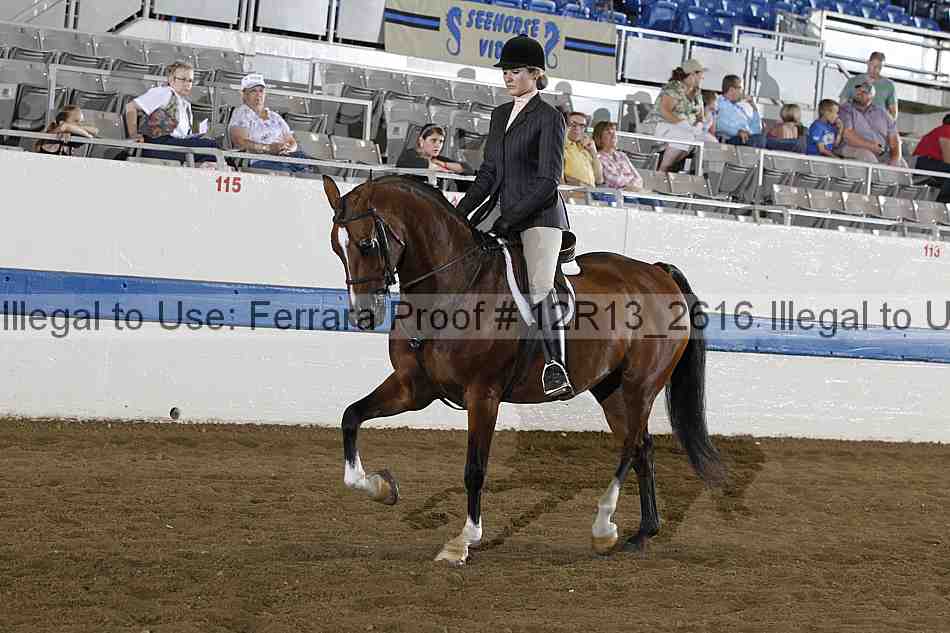Proof Number 12r13_2616