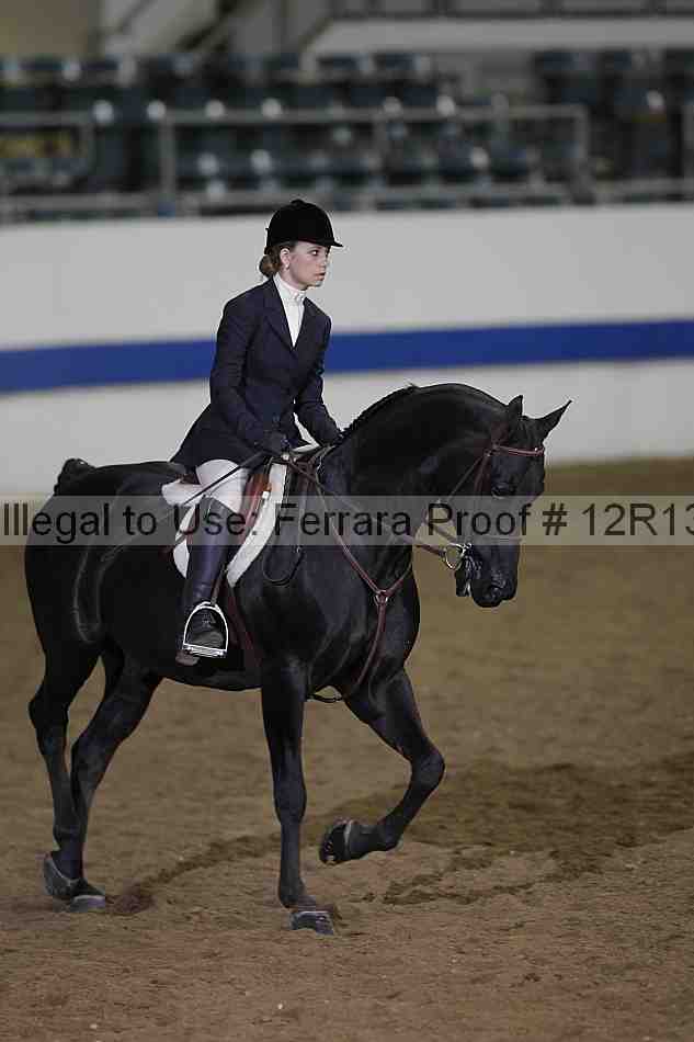 Proof Number 12r13_2622