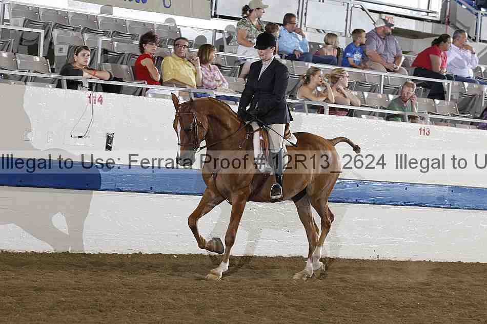 Proof Number 12r13_2624