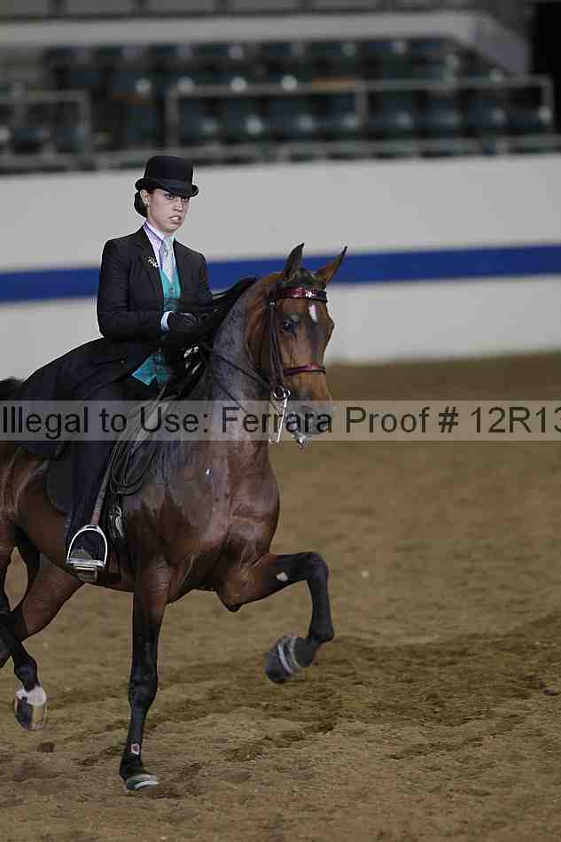 Proof Number 12r13_2678