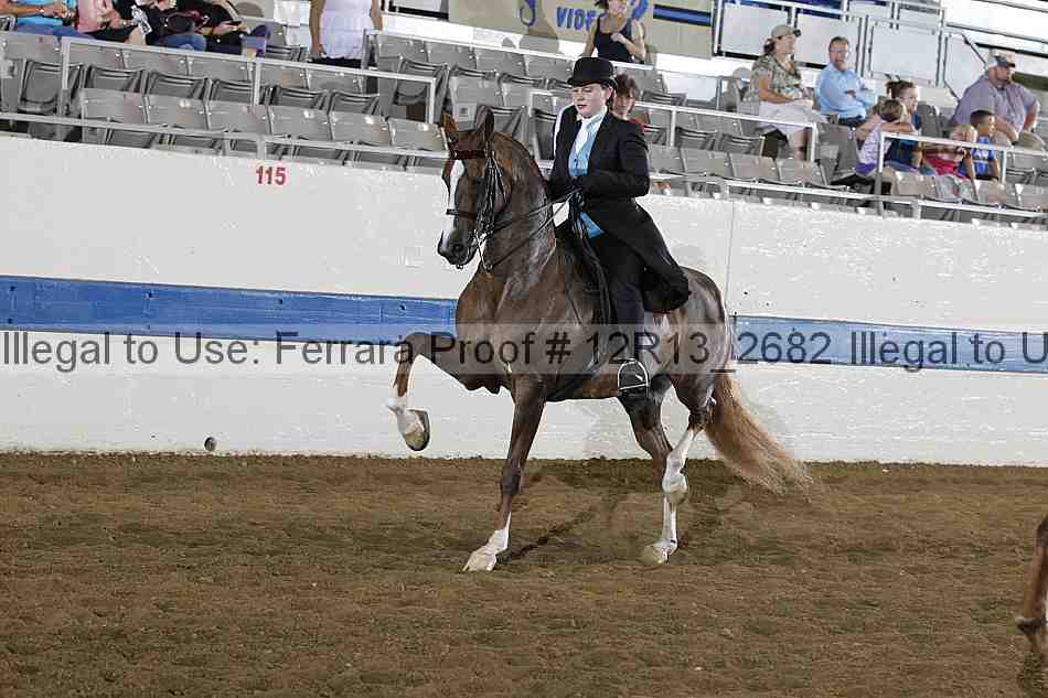 Proof Number 12r13_2682