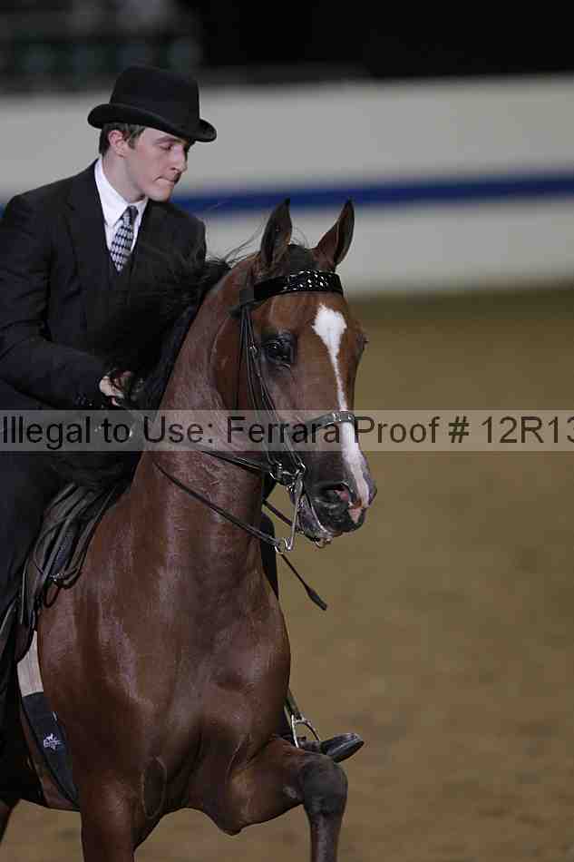 Proof Number 12r13_2692