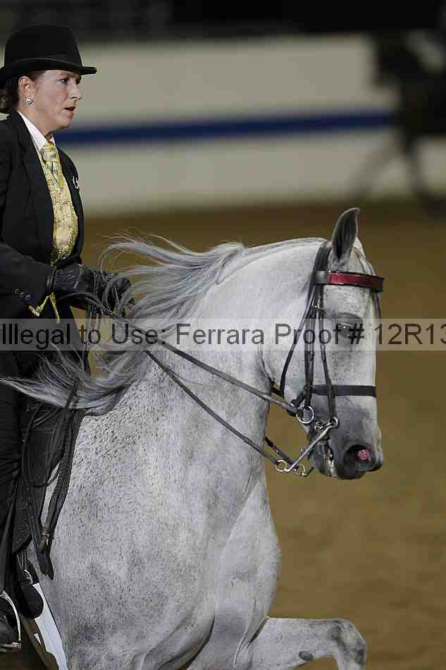 Proof Number 12r13_2694