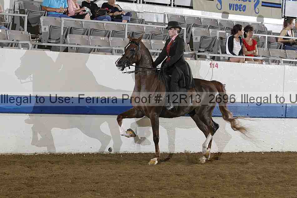 Proof Number 12r13_2696