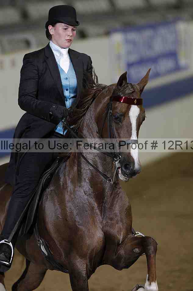 Proof Number 12r13_2728