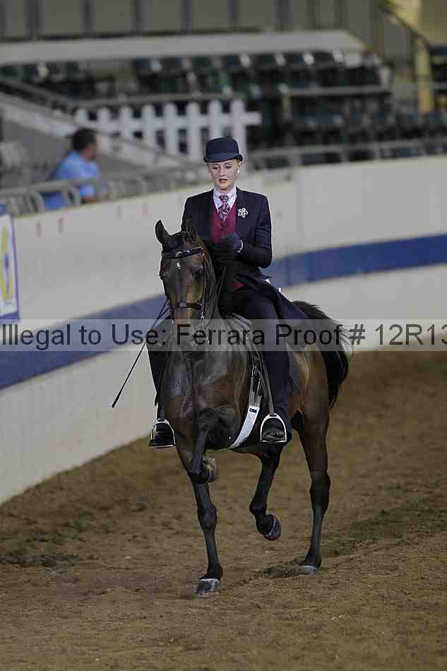 Proof Number 12r13_2729