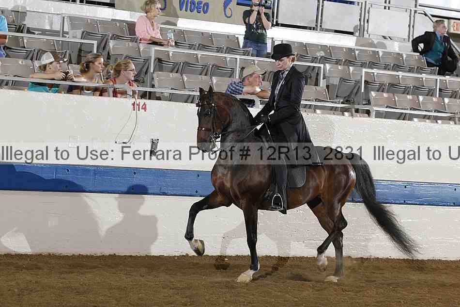 Proof Number 12r13_2831