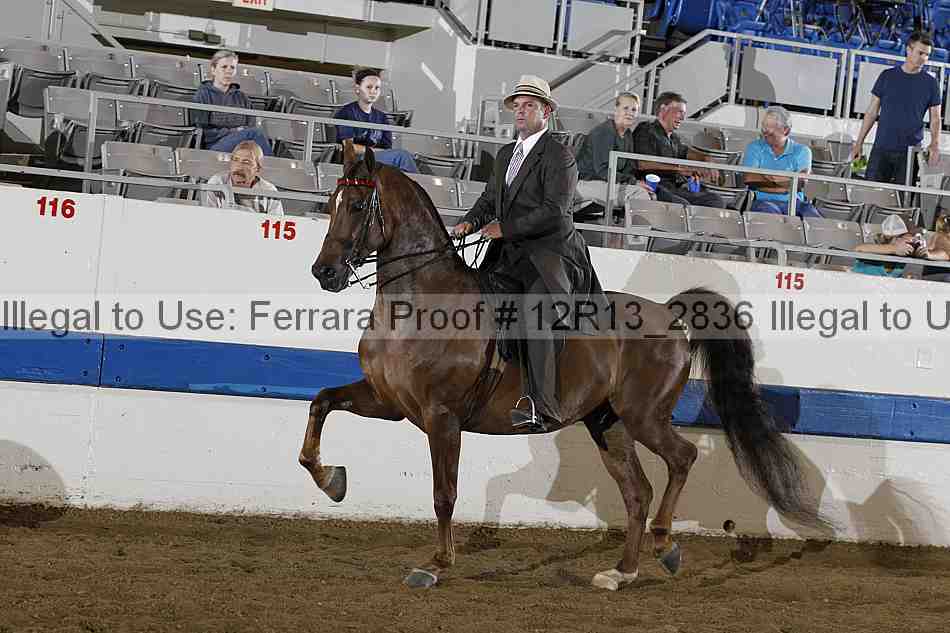 Proof Number 12r13_2836