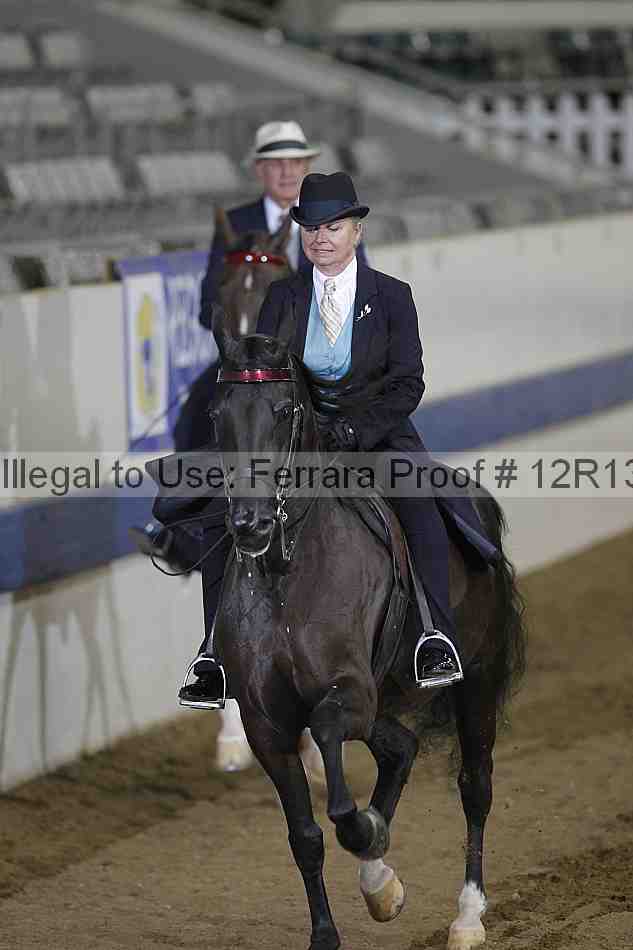 Proof Number 12r13_2851