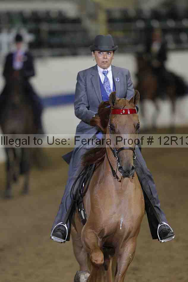 Proof Number 12r13_2856