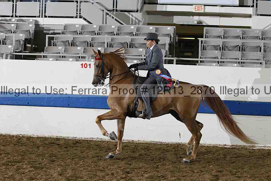 Proof Number 12r13_2870