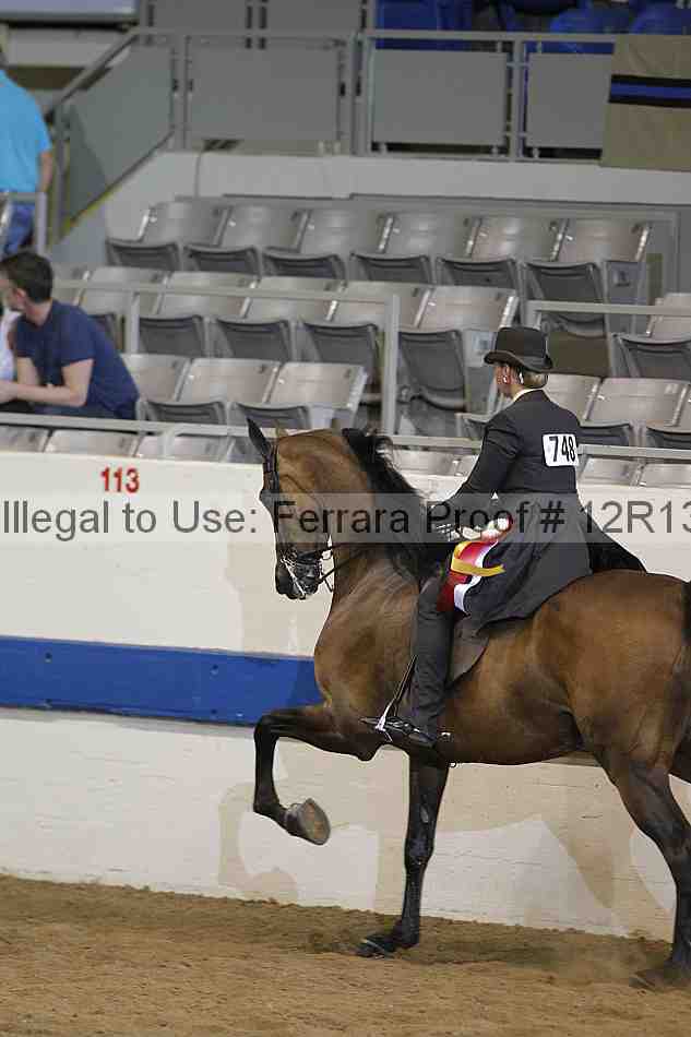 Proof Number 12r13_2888