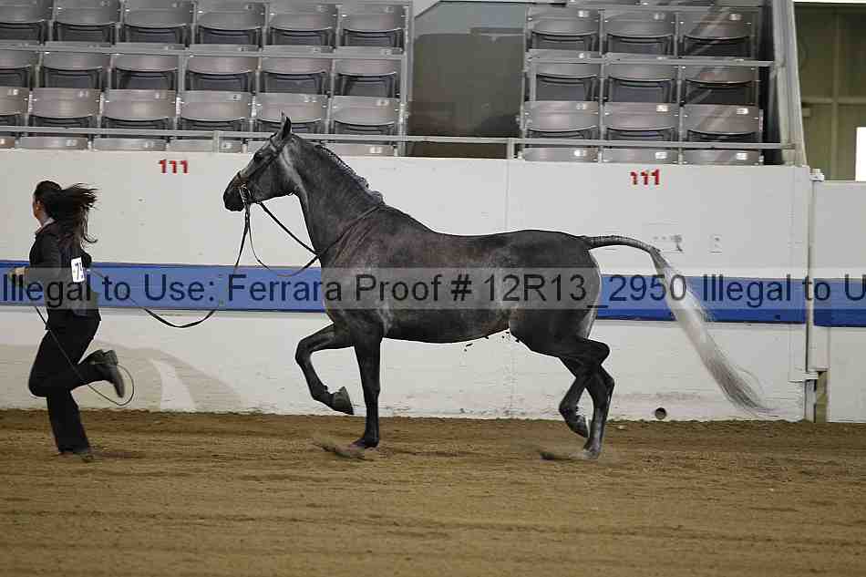 Proof Number 12r13_2950
