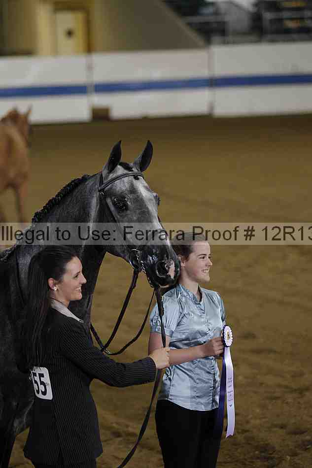 Proof Number 12r13_2957