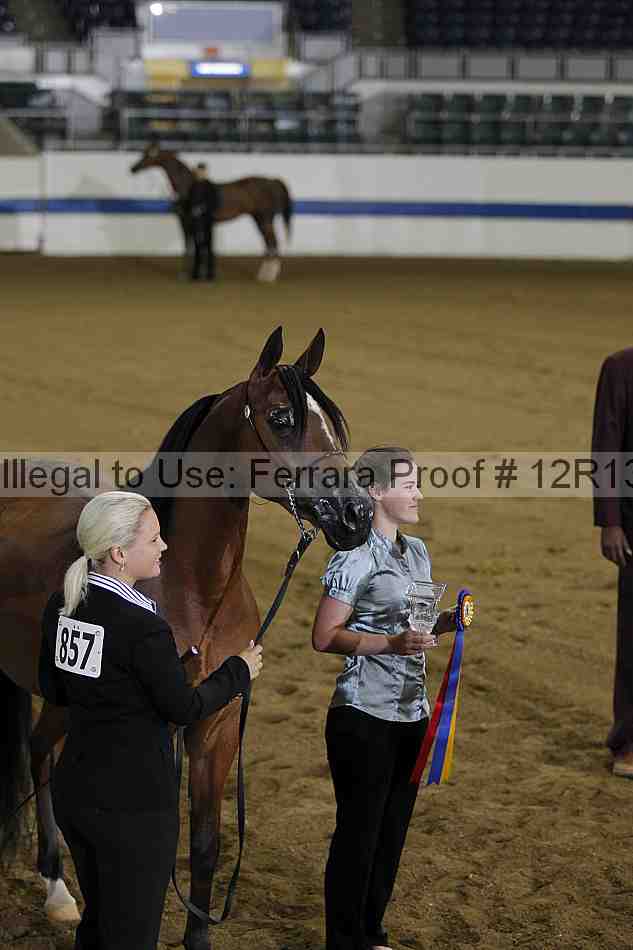Proof Number 12r13_2962