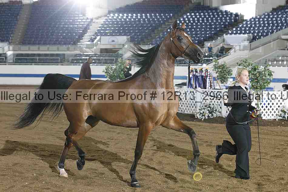 Proof Number 12r13_2966