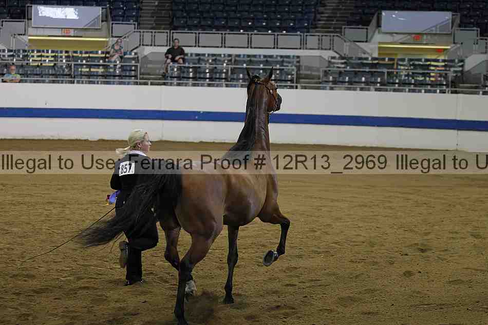 Proof Number 12r13_2969