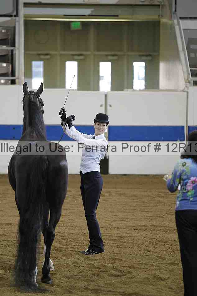 Proof Number 12r13_2993