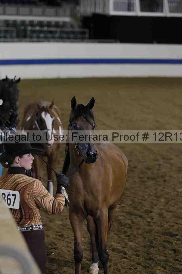 Proof Number 12r13_2994