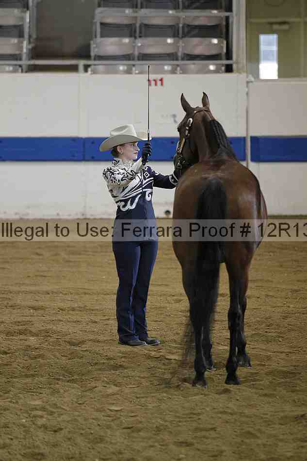 Proof Number 12r13_2997