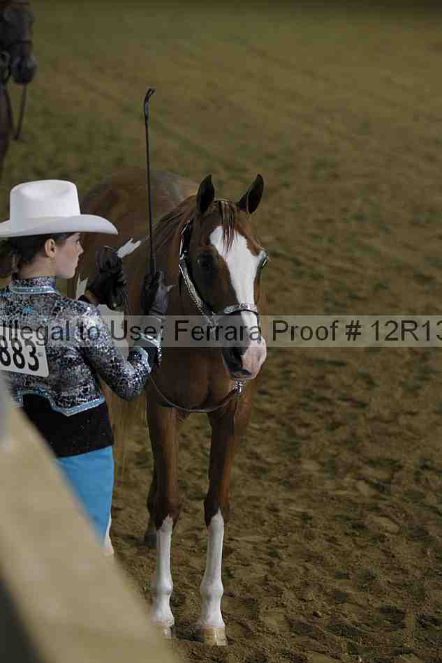Proof Number 12r13_3000