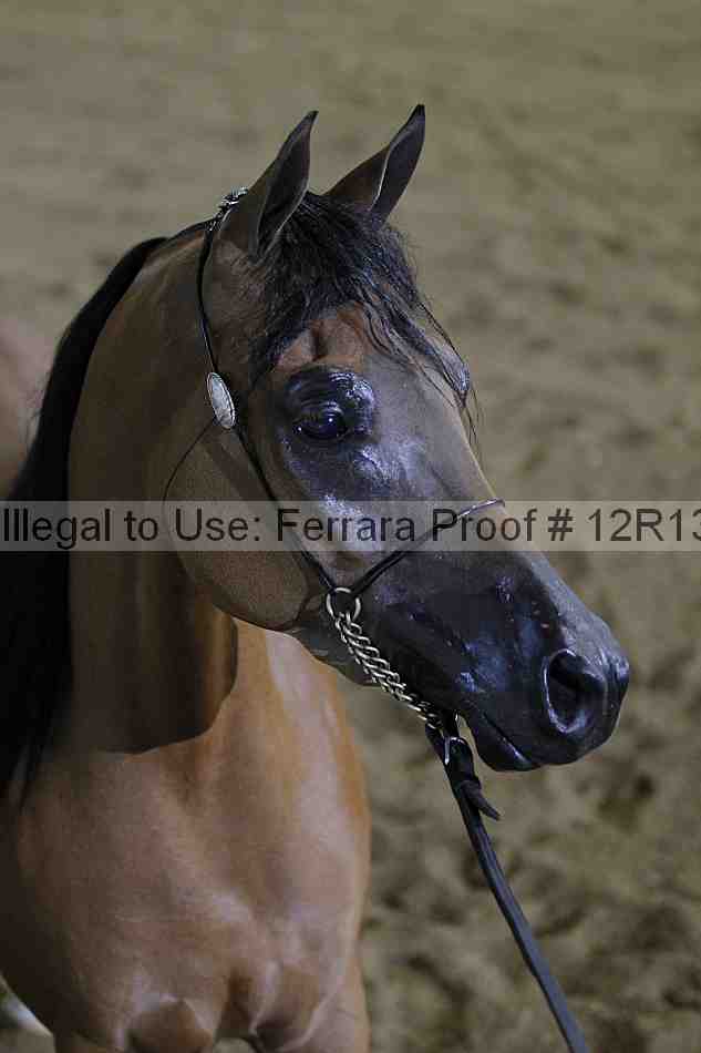Proof Number 12r13_3001