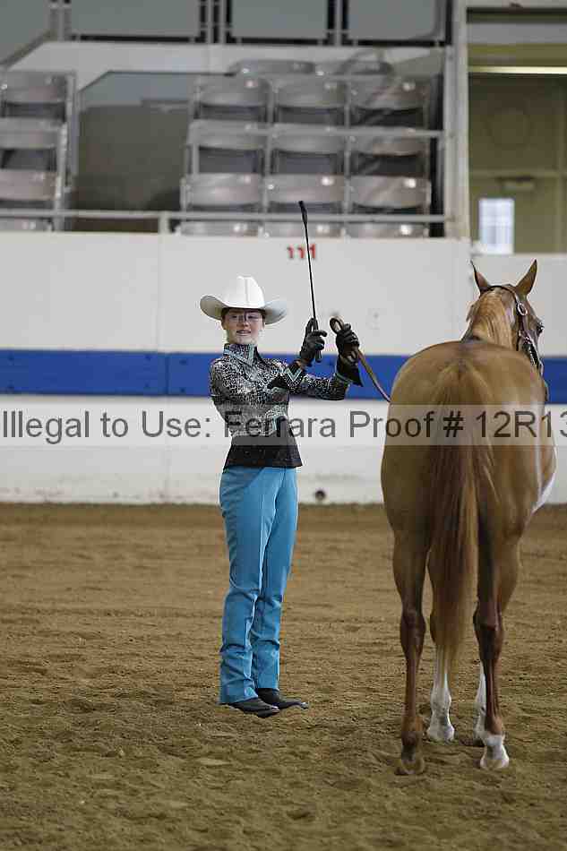Proof Number 12r13_3007