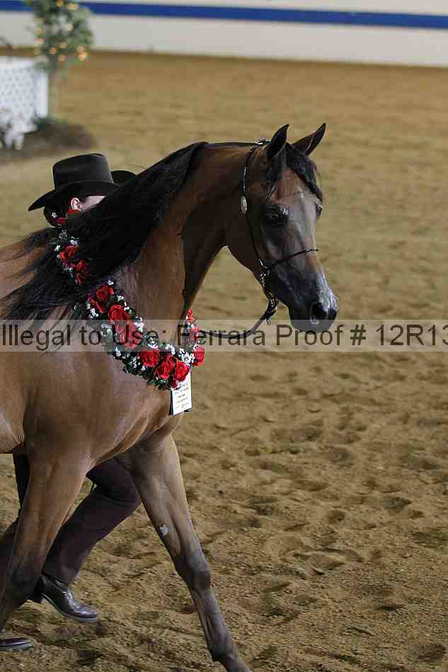 Proof Number 12r13_3036