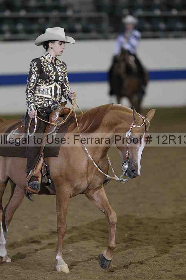 Proof Number 12r13_3054