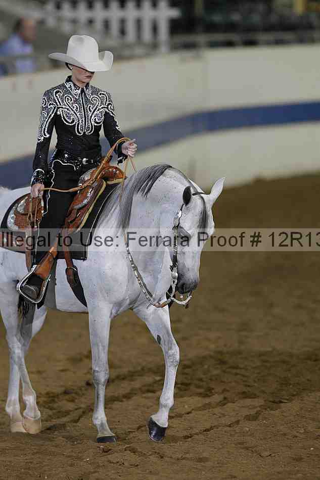 Proof Number 12r13_3056