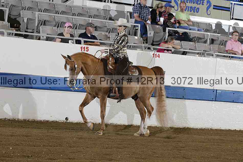 Proof Number 12r13_3072
