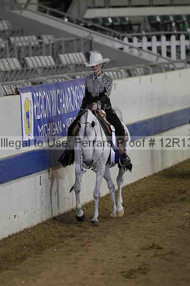 Proof Number 12r13_3095