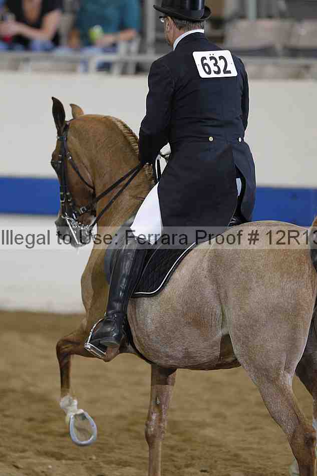 Proof Number 12r13_3219
