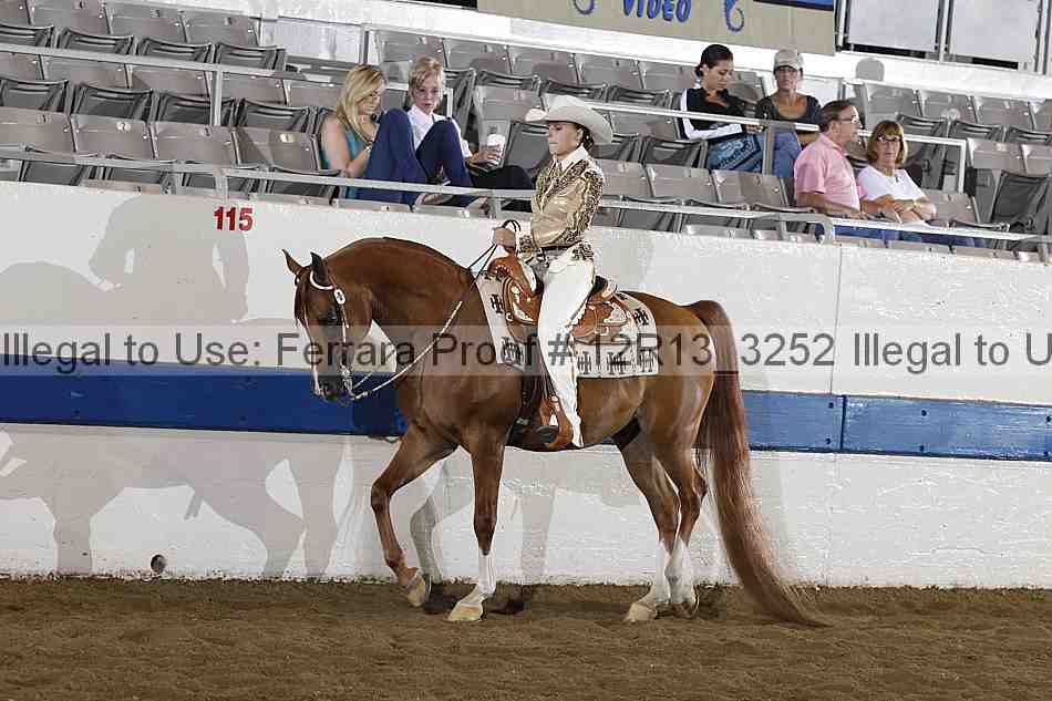 Proof Number 12r13_3252