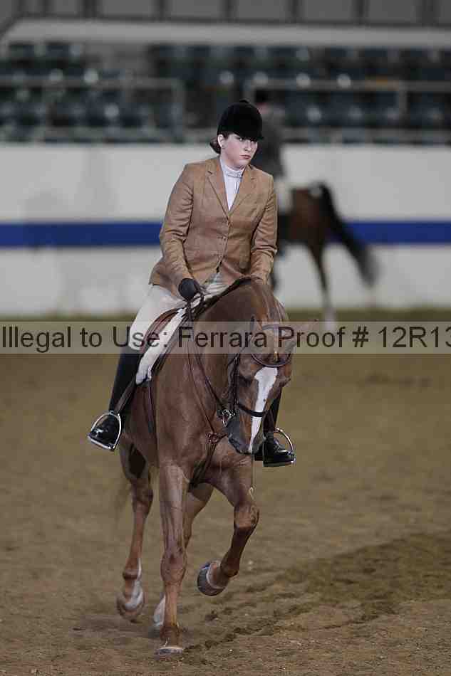 Proof Number 12r13_3303