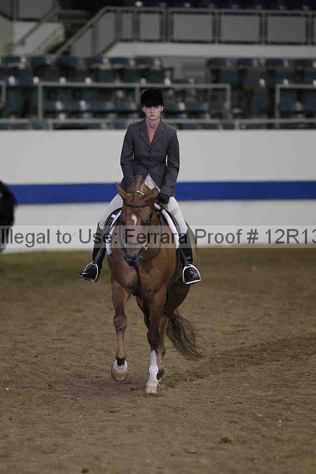 Proof Number 12r13_3306