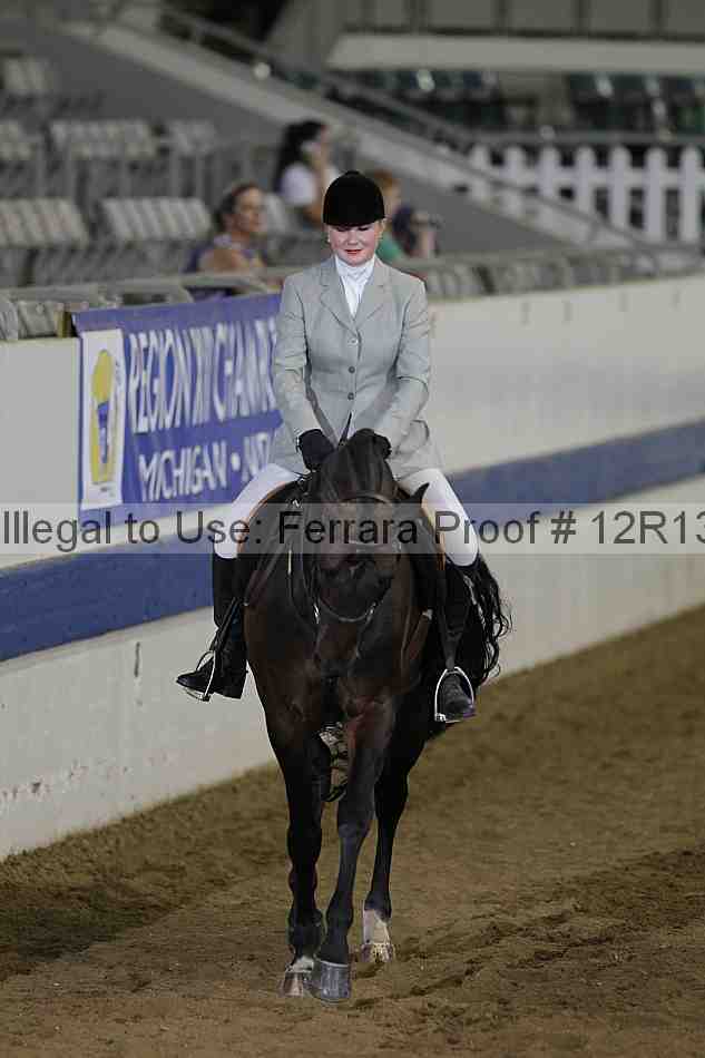 Proof Number 12r13_3309
