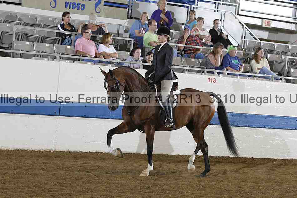 Proof Number 12r13_3310
