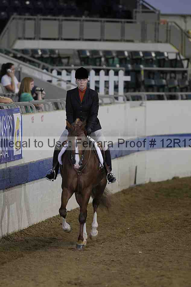 Proof Number 12r13_3317